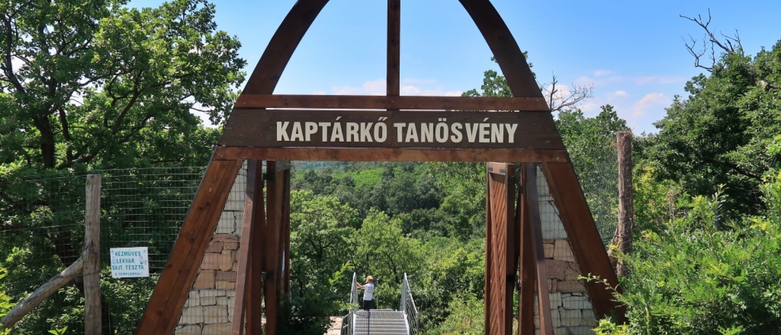 Szomolyai kaptárkövek