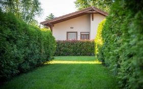 Pandora Zsóry Apartmanok
