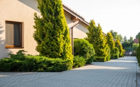 Pandora Zsóry Apartmanok