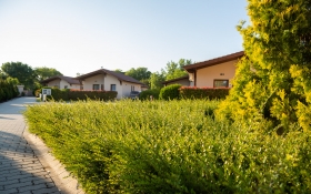 Pandora Zsóry Apartmanok