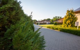 Pandora Zsóry Apartmanok